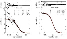 Quantitative Fluorescence Correlation Spectroscopy