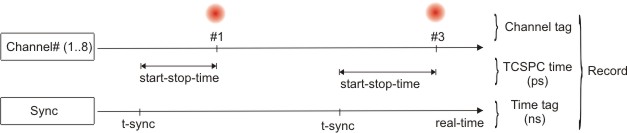 T3 mode of the HydraHarp 400 - scheme