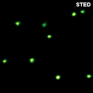 STED image of crimson beads with 20 nm diameter STED image of crimson beads with 20 nm diameter