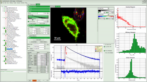 SymPhoTime 64 - screen shot showing the FLIM-FRET analysis module