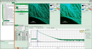 SymPhoTime 64 - performing STED analysis