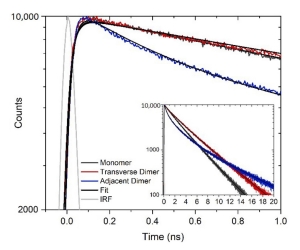 Lifetime decay traces obtained for DNA HJ templated perylene monomer, transcerse dimer and adjucent dimer solution (405 nm excitation)