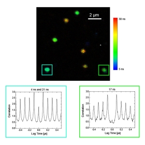 Isolated nanodiamonds with varying fluorescence lifetimes. Antibunching measurements reveal the presence of one or more fluorescent NV- centers.