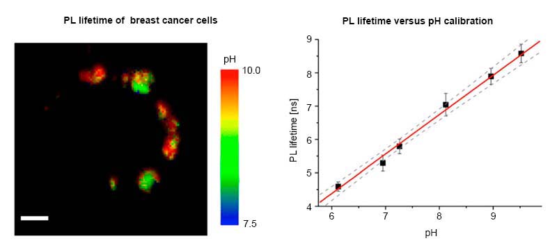 Mitochondrial pH Nanosensors for Metabolic Profiling of Breast Cancer Cell Lines