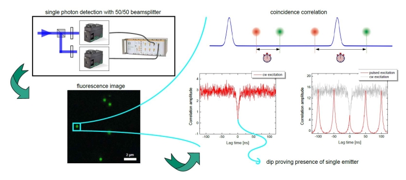 Observation of antibunching (by means of photon coincidence correlation or second-order correlation) can reveal whether there is only a single photon emitter present in a sample.