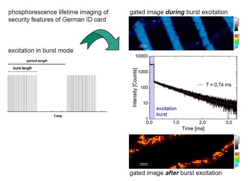 The difference between PLIM and FLIM is being the timescale of photon emission which takes place in the micro- to milli-seond window in the case of phosphorescence rather than in the nano-second range, which is unique to fluorescence. 