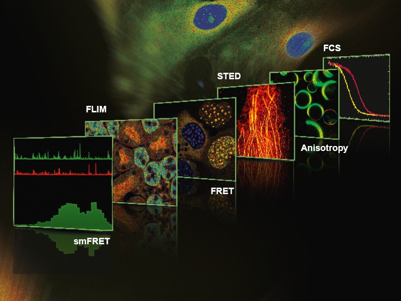 The MicroTime 200 provides access to a wide range of methods