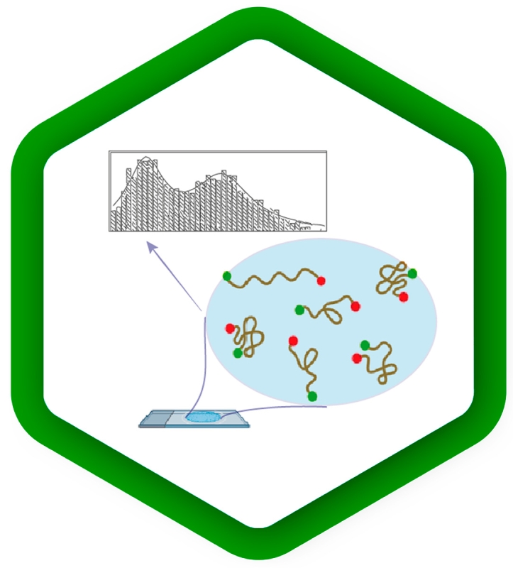 Dynamic structural biology