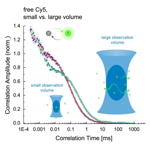 FCS curves of diffusing Cy5, recorded in a small and a large observation volume. In the latter, the diffusion contribution can be more clearly discriminated from the photophysics. (Image created with Biorender.com)