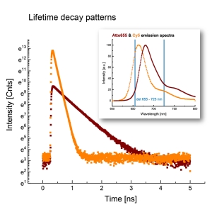 Different fluorescence lifetime decay patterns of the spectrally similar fluorophores Atto655 and Cy5 recorded with Luminosa in one detection channel.
