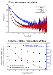 Dynamic anisotropy of Coumarin 6 recorded and analyzed using a FluoTime 300 | FluoTime 300