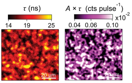Carrier lifetime fluctuation- Adapted time-resolved photoluminescence (TRPL) image of CIGS solar cells
