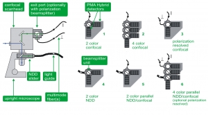 Schematic overview about possible detection options for an upright microscope | LSM Upgrade Kit