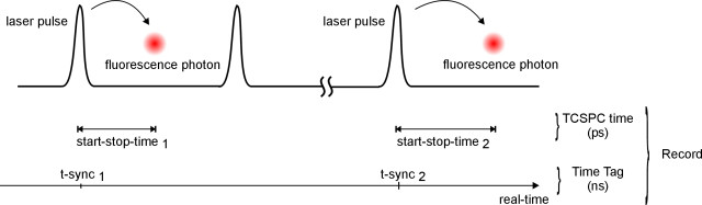 scheme: T3 mode of the PicoHarp 300