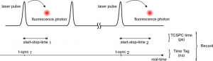 Scheme of the T3 mode of the PicoHarp 300 | PicoHarp 300