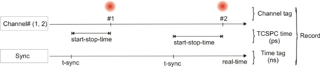 Scheme of the T3 mode of the TimeHarp 260