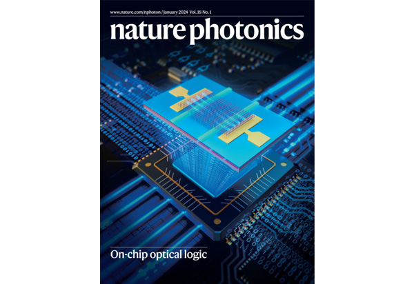 Surface-defect-passivation-enabled near-unity charge collection efficiency in bromide-based perovskite gamma-ray spectrum devices