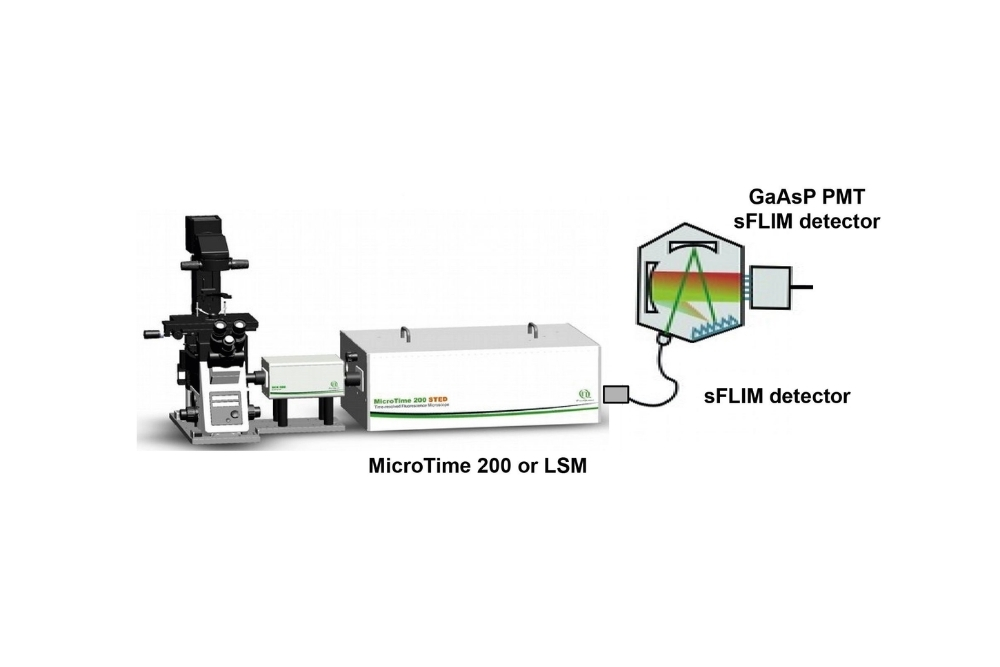 Spectral FLIM detector based on a 16-channel GaAsP PMT array integrated with a MicroTime microscope for spectrally resolved fluorescence lifetime imaging.