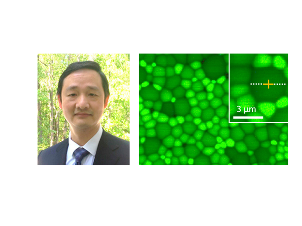 Webinar. Microscopic Study of Defects in Metal Halide Perovskites.