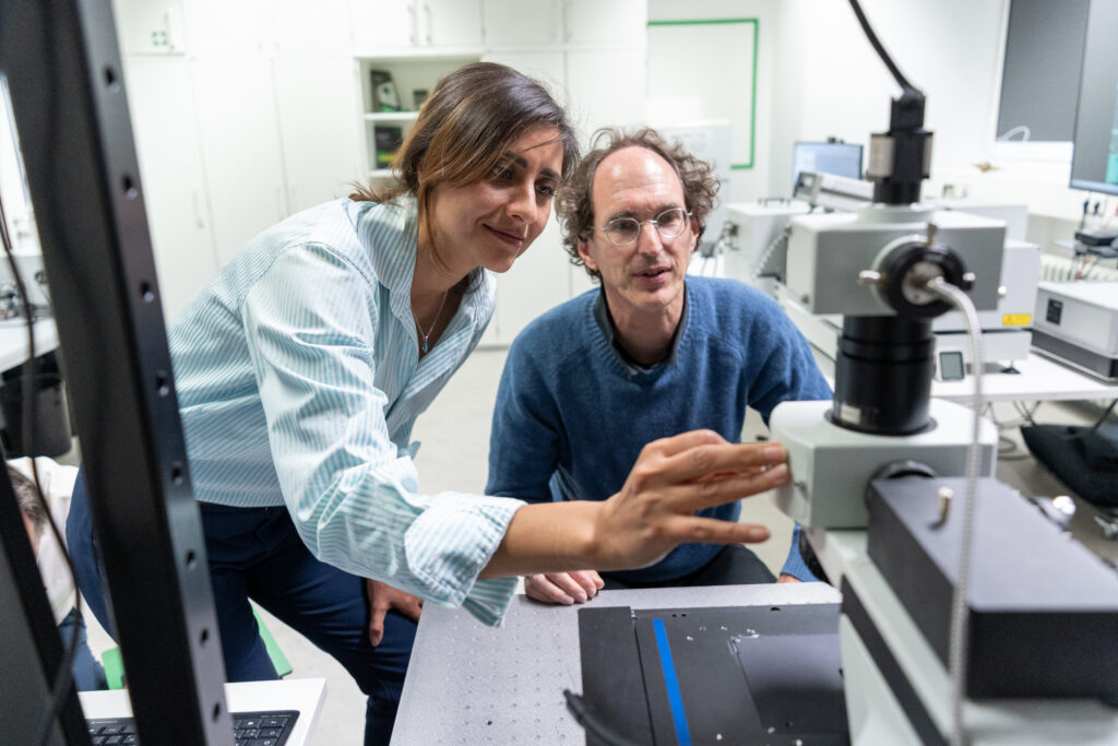 Developer for Optical Quantum Technologies