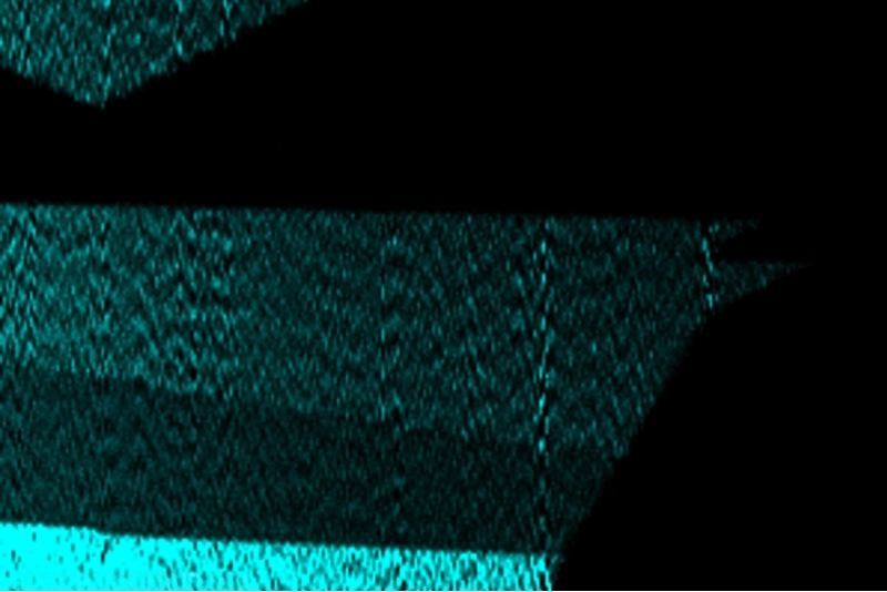 Second-harmonic generation image of MoS2 monolayer flake