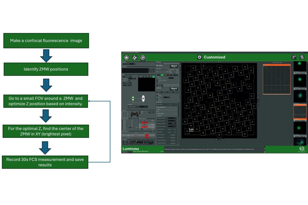 Automated FCS measurements across multiple ZMWs using LumiPy. Left: Automated workflow for ZMW identification, local Z and XY position optimization, and subsequent 30 s FCS acquisition at each aperture. Right: Luminosa measurement view showing multiple identified ZMW positions during automated acquisition. In this proof-of-concept experiment, FCS measurements were acquired from 88 ZMWs within approximately 85 minutes.
