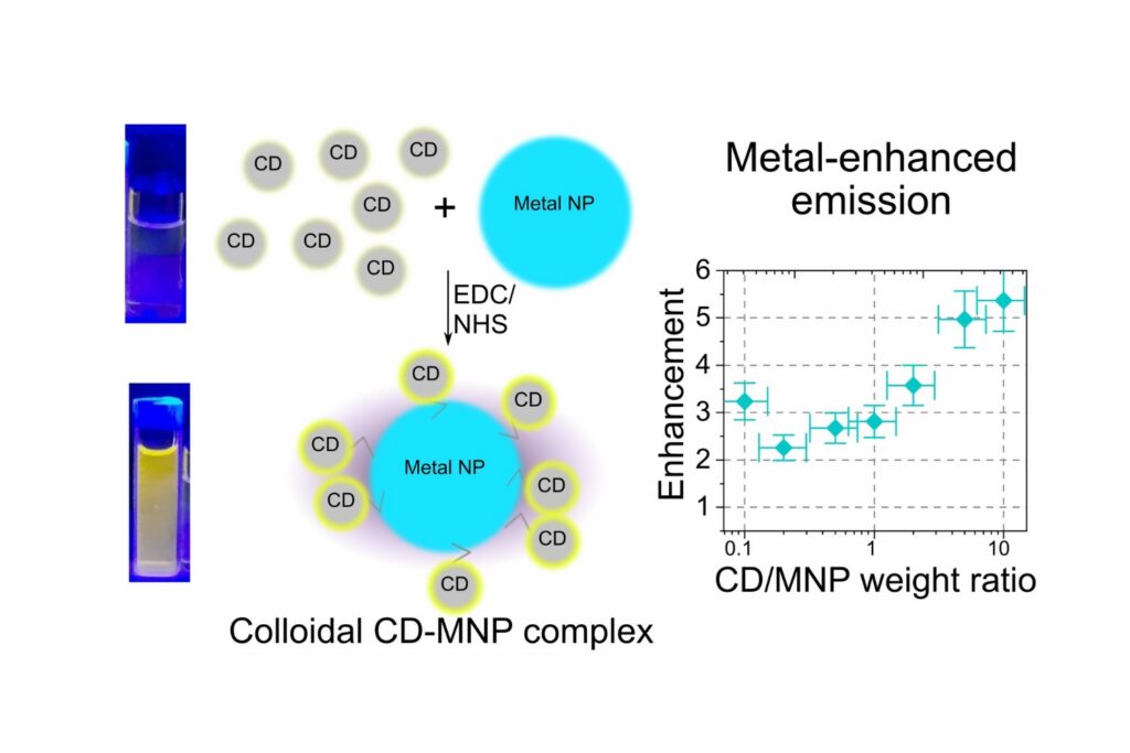 Schematic representation of covalently linked carbon dot–metal nanoparticle complexes formed via EDC/NHS chemistry.