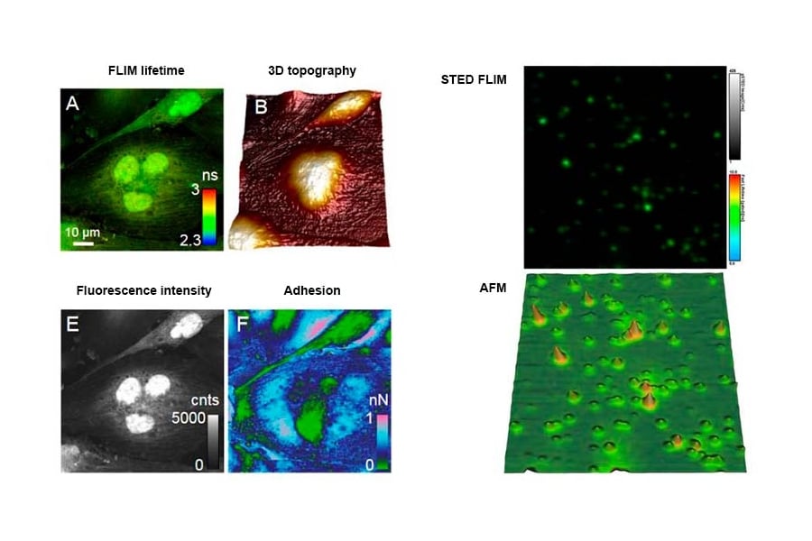 Correlated FLIM, STED, and AFM nanoscale imaging data
