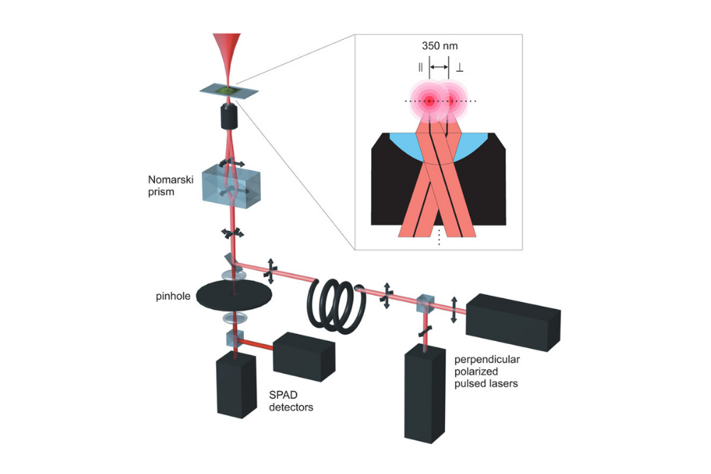 Schematic of a dual-focus Fluorescence Correlation Spectroscopy (2fFCS) setup with two excitation volumes and SPAD detectors.