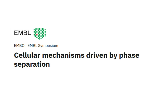 embl-symposium-phase-separation