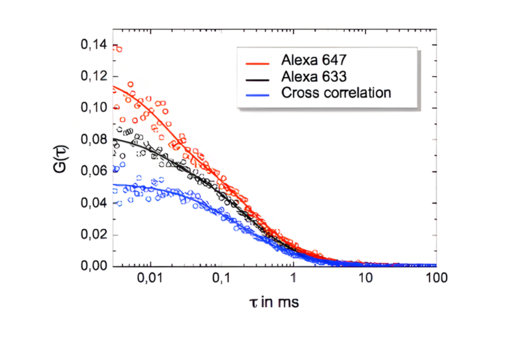 Auto- and cross-correlation curves from Fluorescence Cross-Correlation Spectroscopy showing interaction between two labeled molecules.