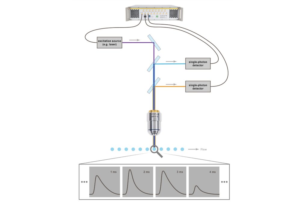 Schematic principle of fluorescence lifetime flow cytometry. Cells or particles pass through the observation volume and generate transient photon bursts. Consecutive, gapless acquisition windows convert these bursts into a sequence of fluorescence decay histograms for lifetime analysis.