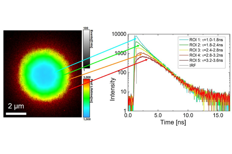 High-resolution TRPL lifetime map and decay curves showing spatial variations in charge carrier lifetime caused by diffusion in semiconductor materials.