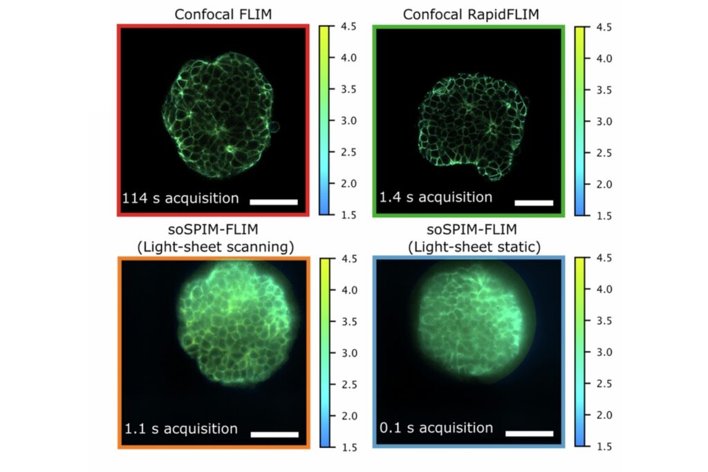 Comparison of fluorescence lifetime imaging (FLIM) acquisition times for confocal, rapidFLIM and light-sheet modalities showing significantly faster imaging with light-sheet FLIM