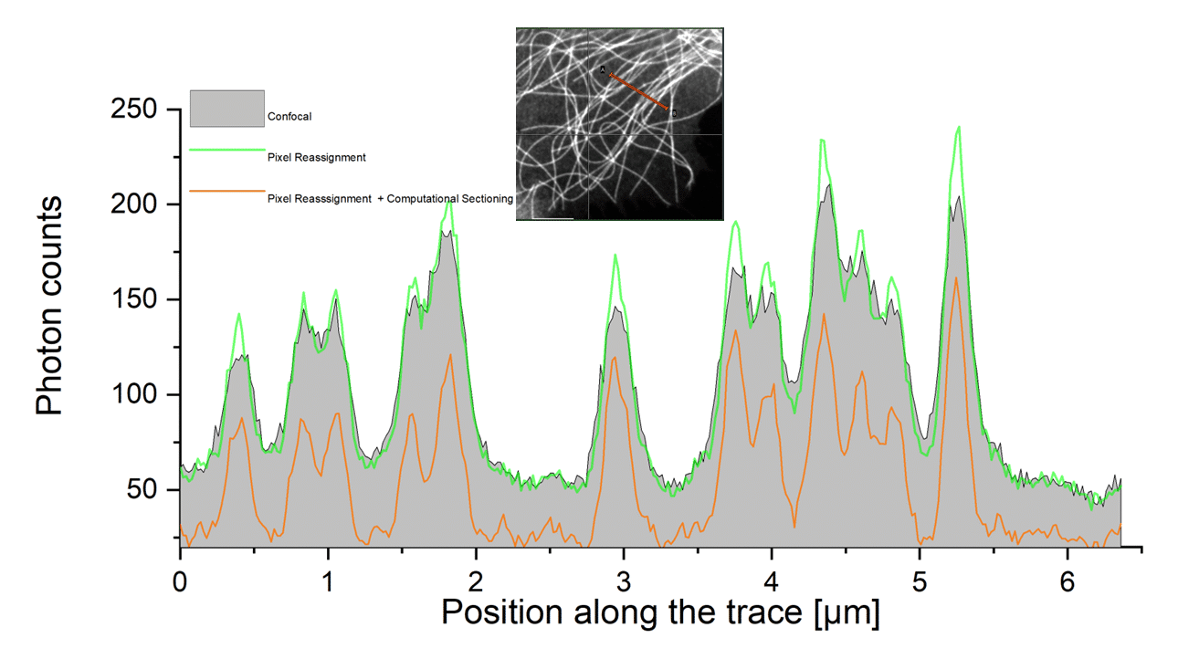 Intensity profile comparing confocal, ISM pixel reassignment, and computational sectioning along tubulin filaments