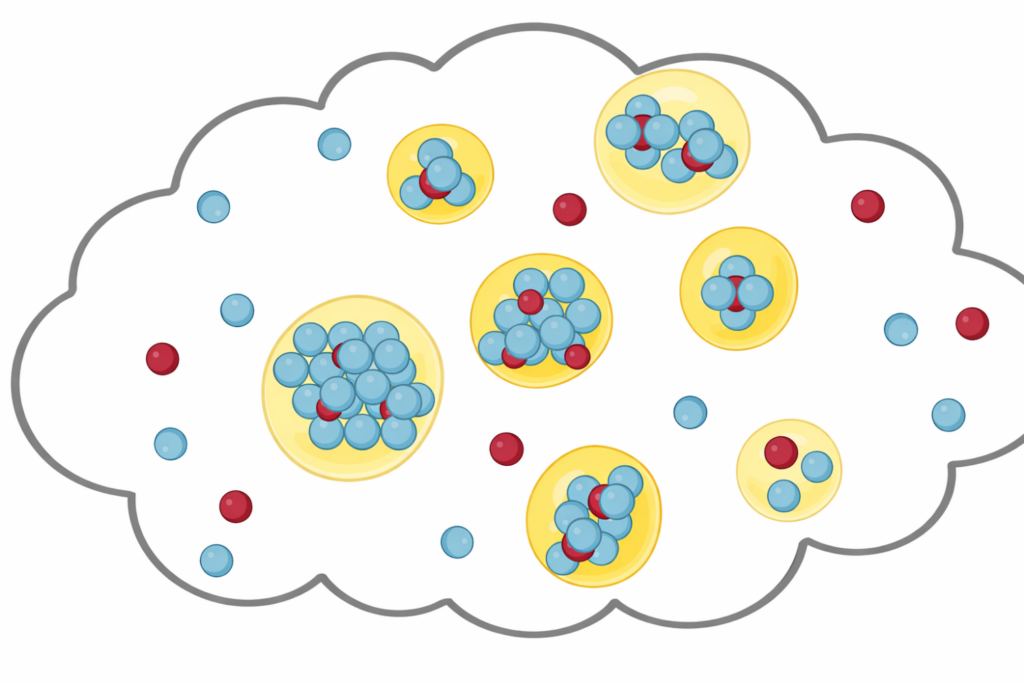 Conceptual illustration of liquid–liquid phase separation showing biomolecular condensates forming from proteins and RNA within the cellular environment.