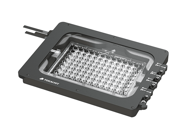 Stage-top incubator with multiwell plate insert and environmental control module shown alongside live-cell fluorescence microscopy image for extended imaging experiments on Luminosa.