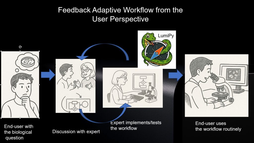 LumiPy supports feedback-adaptive microscopy workflows by helping experts translate biological questions into reproducible Python-based workflows for Luminosa that end users can apply routinely.