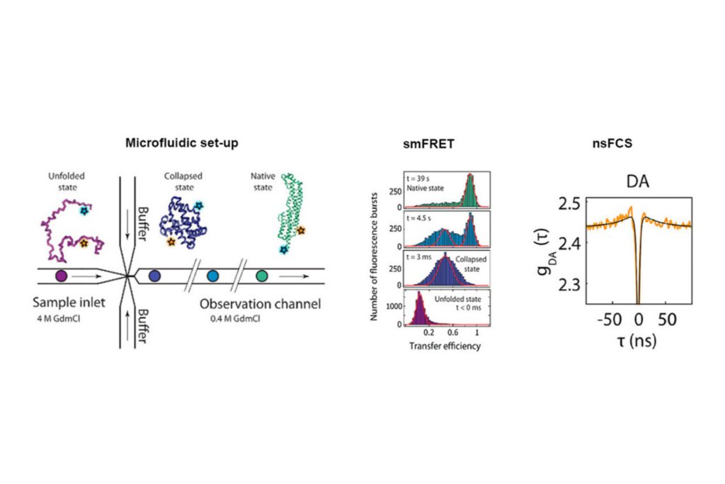 Microfluidic smFRET and nsFCS analysis of Cytolysin A folding dynamics