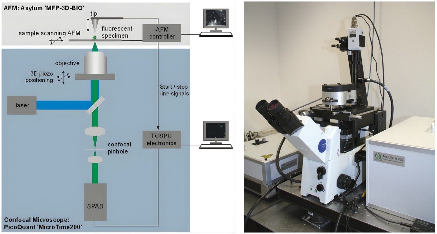 Schematic sketch and picture of the combined MicroTime 200 and AFM setup.