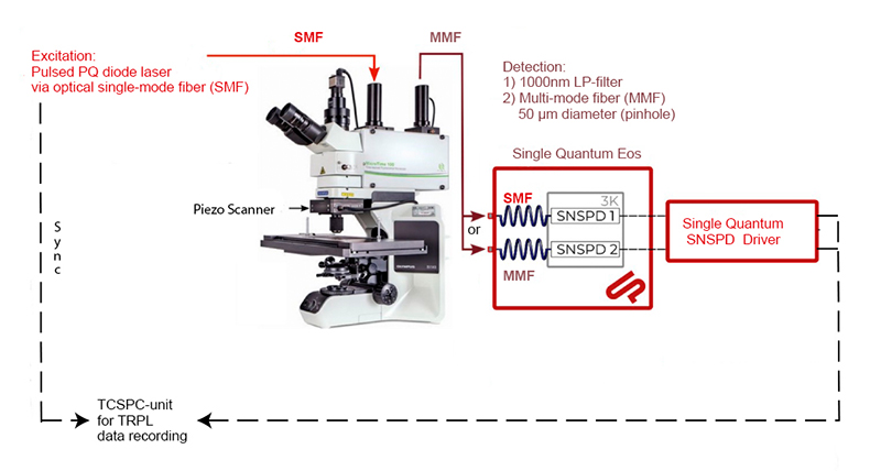 Schematic setup of a MicroTime 100 confocal microscope with superconducting nanowire single-photon detectors (SNSPDs) for near-infrared time-resolved photoluminescence measurements.