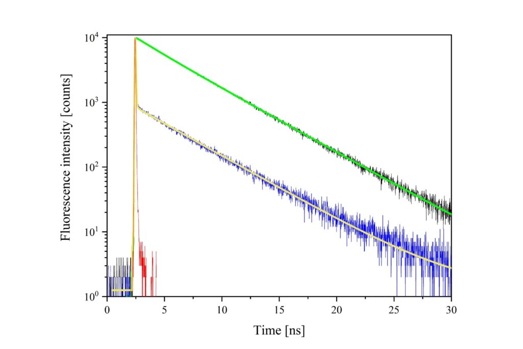 Fluorescence lifetime decay curves of fluorescein measured with time-resolved fluorescence spectroscopy showing intensity versus time for different concentrations.