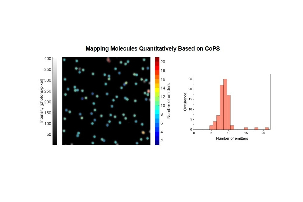 Confocal microscopy image and histogram illustrating molecular counting using Counting by Photon Statistics (CoPS) to estimate the number of fluorescent emitters per spot.