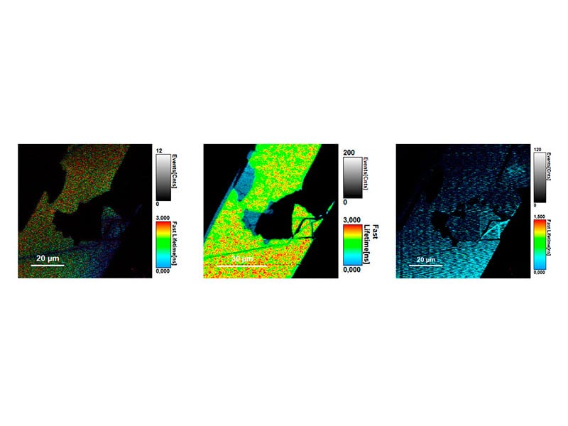measurement examples of Multimodal SHG and TRPL Imaging