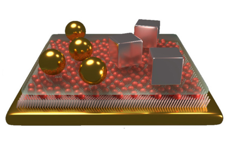 Schematic illustration of nanostructured materials on a substrate highlighting heterogeneous nanoscale architectures studied by optical and time-resolved characterization.