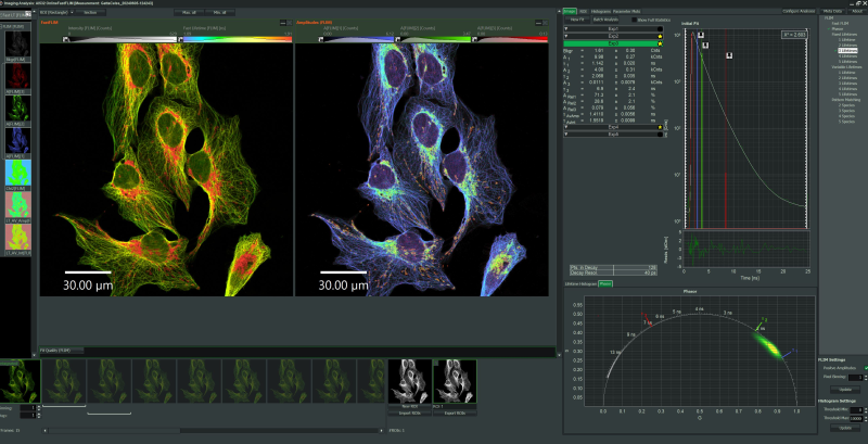 NovaFLIM: Advanced analysis of images