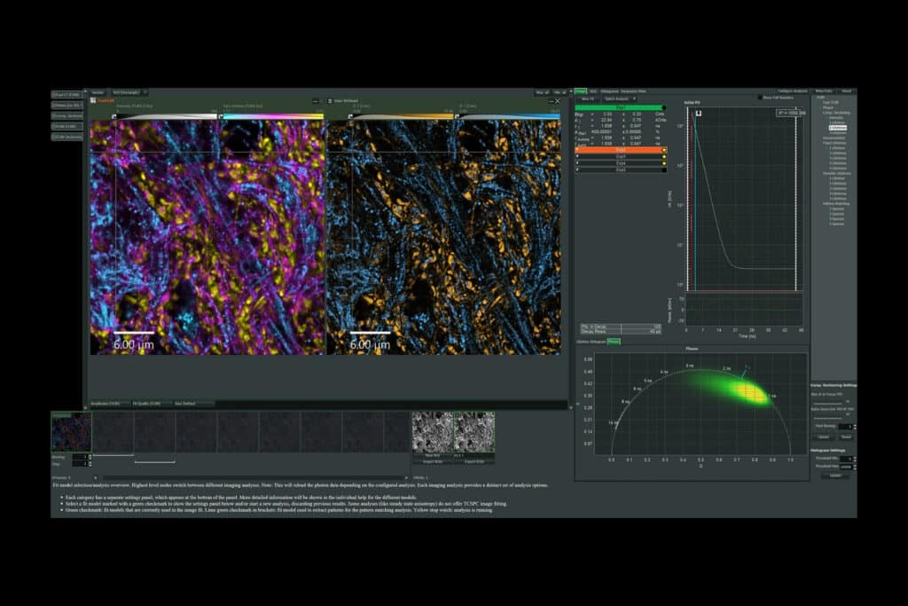 NovaISM software interface showing ISM-FLIM analysis, decay fitting, and phasor plot