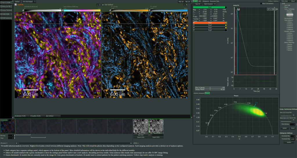 NovaISM interface showing ISM reconstruction and FLIM analysis tools
