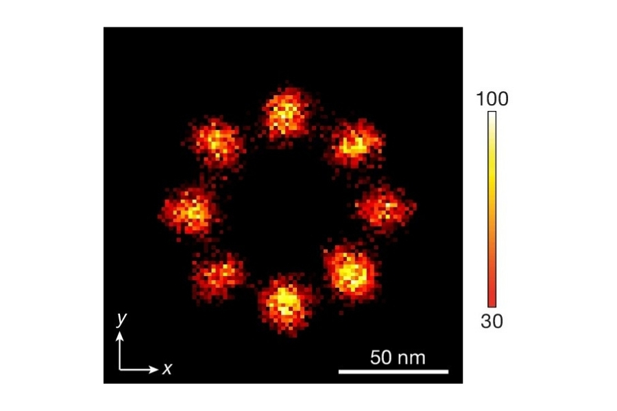 Composite two-dimensional histogram of averaged nuclear pore complexes aligned according to their eightfold symmetry.