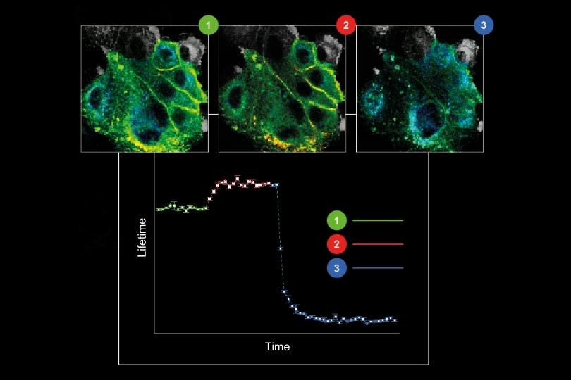 Concept illustration of optical environmental sensing where time-resolved fluorescence lifetime detection monitors dynamic environmental signals and trace compounds.